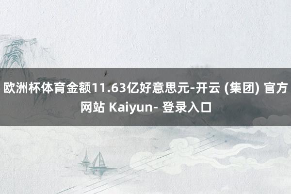 欧洲杯体育金额11.63亿好意思元-开云 (集团) 官方网站 Kaiyun- 登录入口