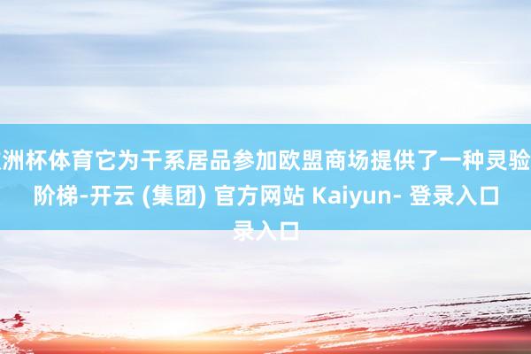欧洲杯体育它为干系居品参加欧盟商场提供了一种灵验的阶梯-开云 (集团) 官方网站 Kaiyun- 登录入口