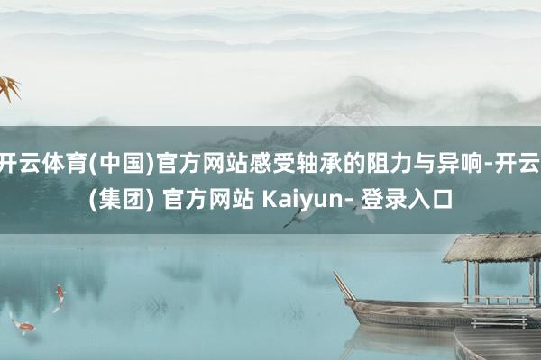 开云体育(中国)官方网站感受轴承的阻力与异响-开云 (集团) 官方网站 Kaiyun- 登录入口